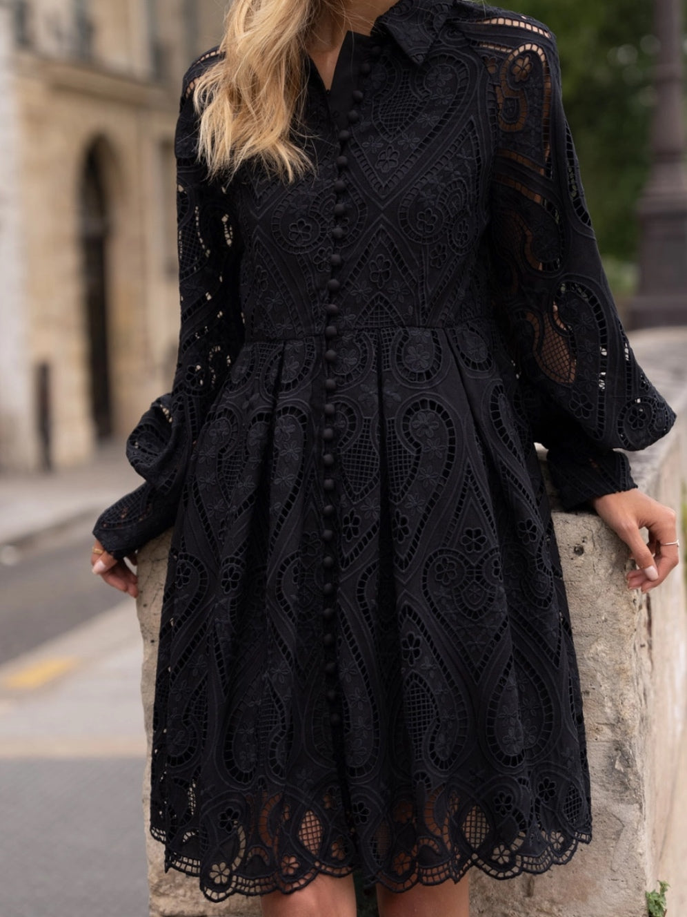 Sloane Embroidered Cotton Lace Dress