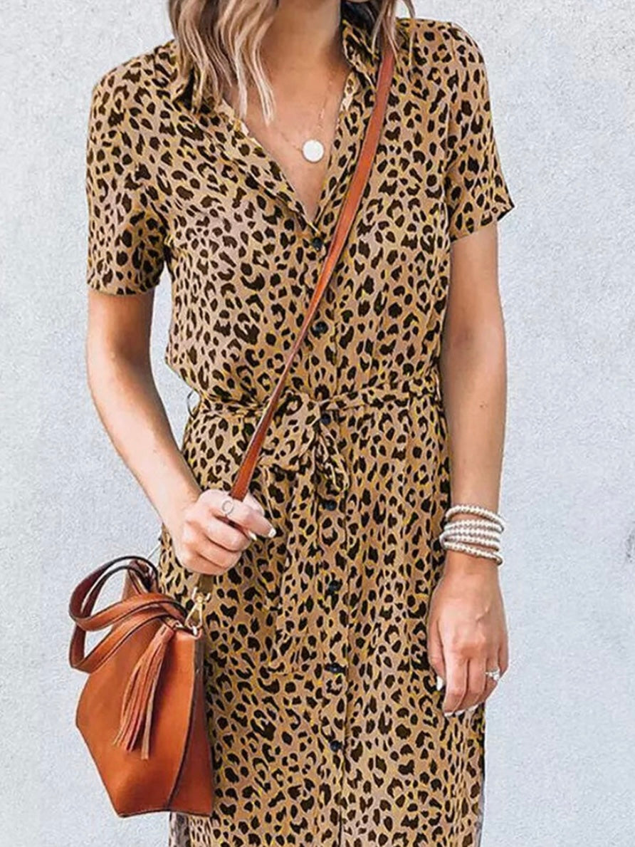 Spotted Button Down Dress